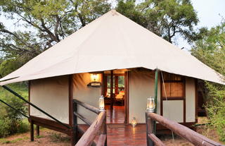 Hamiltons Tented Camp - Suite View (2)