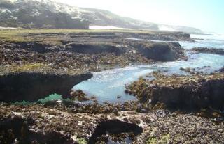 Koppie Allleen Rock Pools