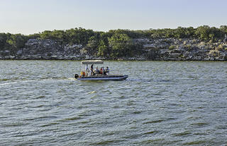 Guided Vlei Boat Cruise
