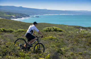 Mountain biking