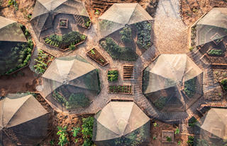 Shamba pods
