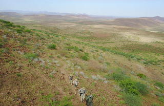 Guided walking activities