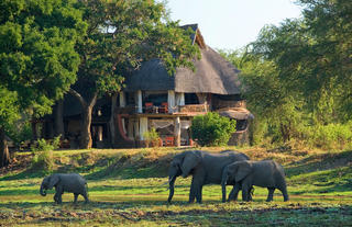 Luangwa Safari House