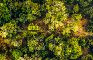 Lewa Safari Camp