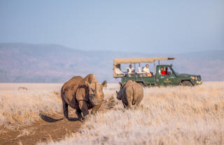 Lewa Safari Camp