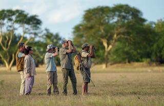 Walking Safari