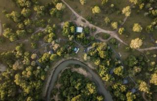 Gorongosa Safaris