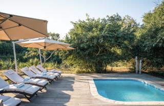 Gorongosa Safaris