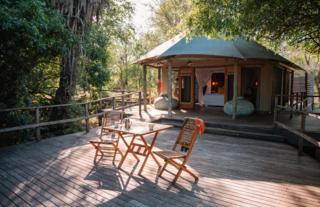 Gorongosa Safaris