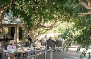 Gorongosa Safaris
