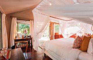 Gorongosa Safaris