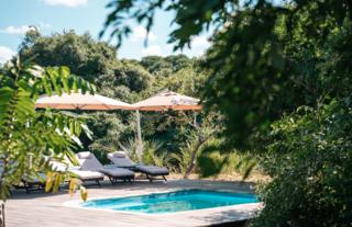 Gorongosa Safaris
