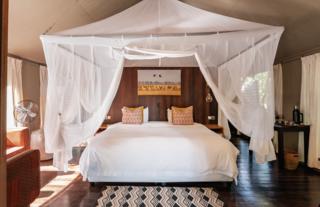Gorongosa Safaris