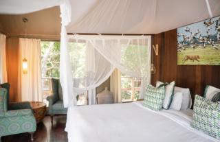 Gorongosa Safaris