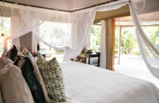 Gorongosa Safaris
