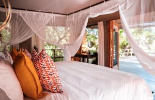 Gorongosa Safaris