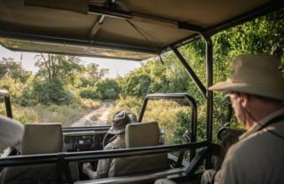 Gorongosa Safaris