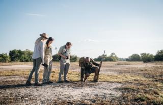 Gorongosa Safaris