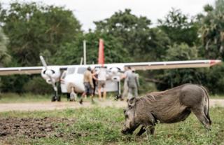 Gorongosa Safaris