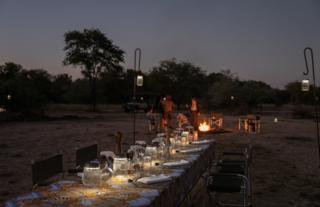 Gorongosa Safaris