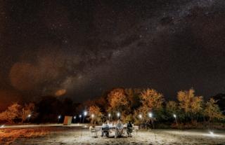Gorongosa Safaris