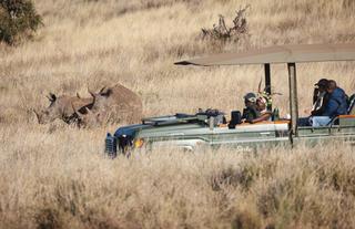 Game Drive