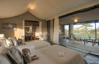 Family suite