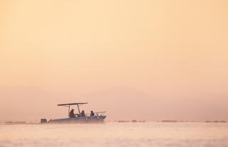 Boat rides on Lake Naivasha
