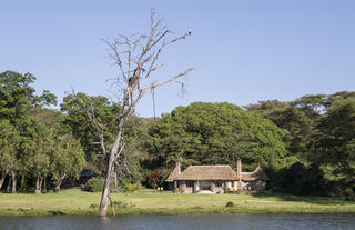 Boat rides on Lake Naivasha