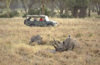 Elewana Kifaru House - Activities & Wildlife