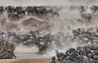 A mega dusty crossing