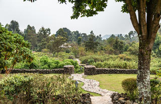 Volcanoes Safaris