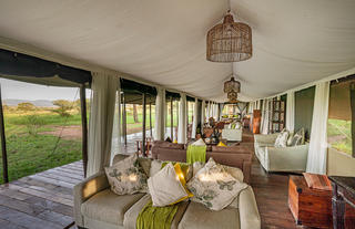 Main Area - Lounge