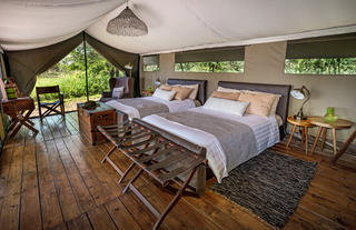 Standard Tent
