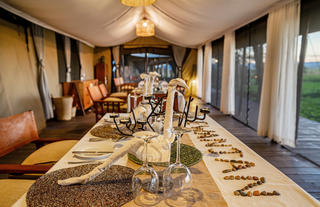 Main Area - Dining