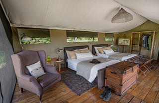 Standard Tent