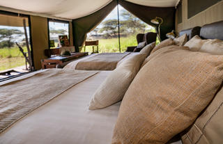 Standard Tent