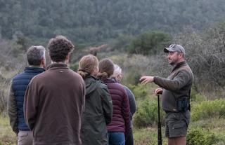 Guided bush walk