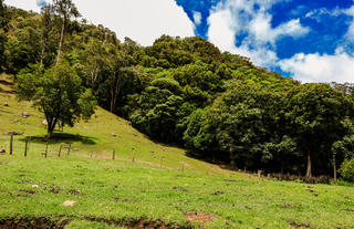 Clusia Lodge-Copey de Dota