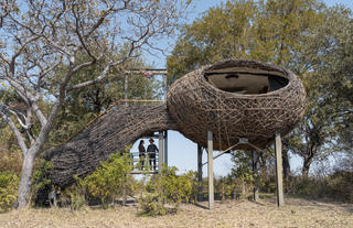 Exterior view of Nest
