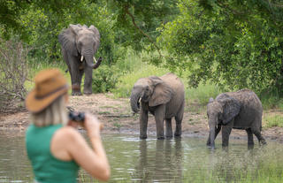 Waterhole