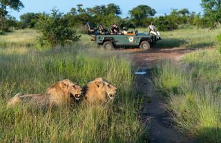 Game drive