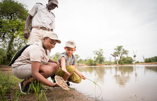 Kambaku Safari Lodge
