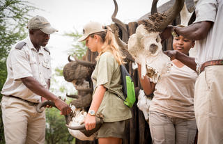 Kambaku Safari Lodge