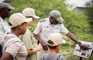 Kambaku Safari Lodge