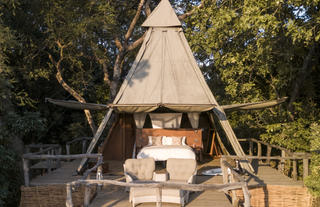 Tent Exterior 3