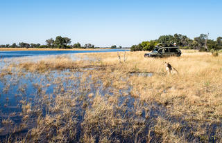 Kweene Trails - Activities