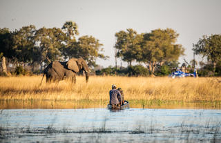 Kweene Trails - Activities