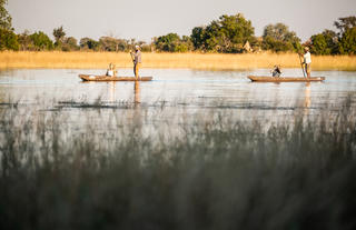 Kweene Trails - Activities