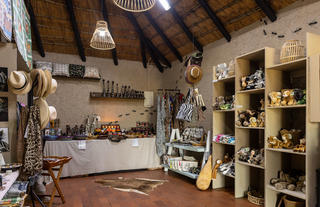 The Curio Shop